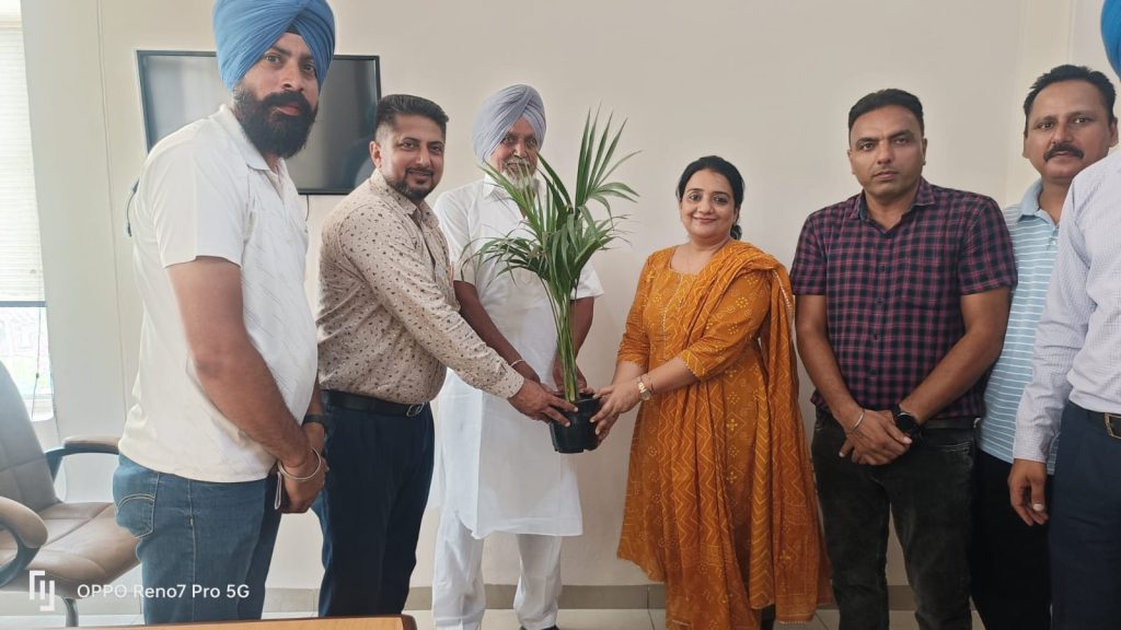 Cricket Tournament (Punjab School Games)